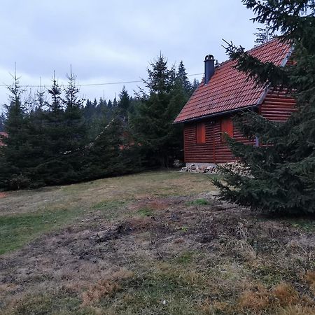 Vila Tijana Мітровац Екстер'єр фото