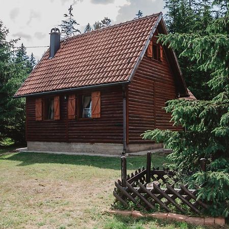 Vila Tijana Мітровац Екстер'єр фото