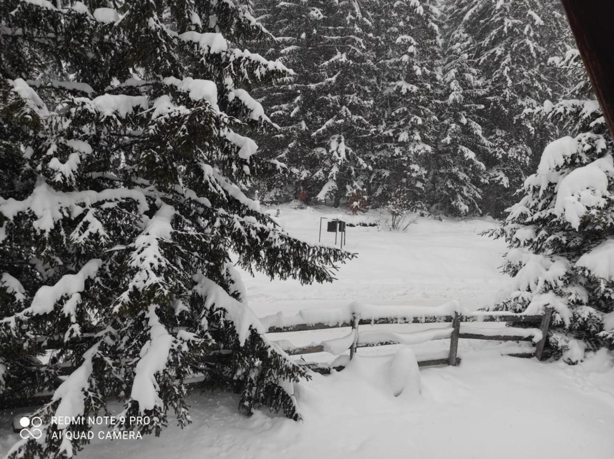 Vila Tijana Мітровац Екстер'єр фото