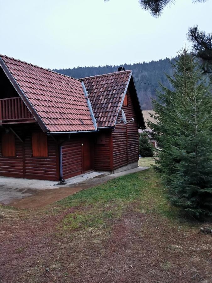Vila Tijana Мітровац Екстер'єр фото