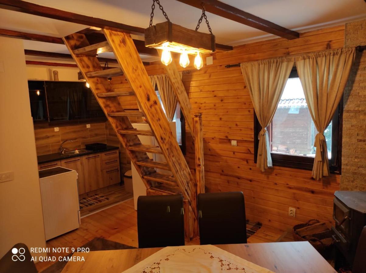 Vila Tijana Мітровац Екстер'єр фото